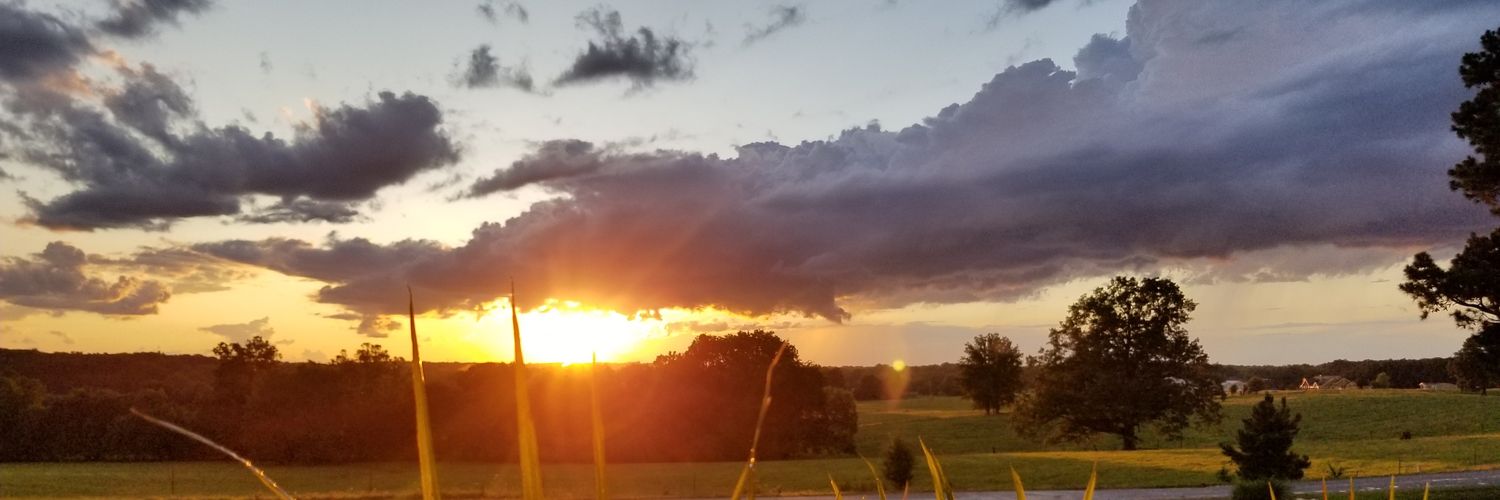 Bob Greyishwhite banner