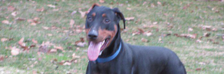 Crimer88's profile banner image