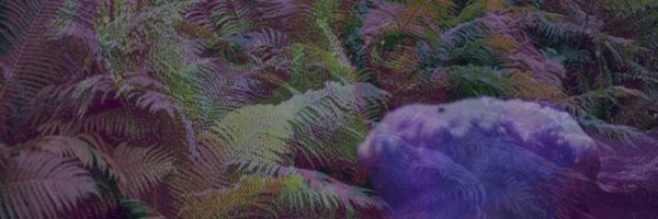 mcbcmcbcm Profile Banner