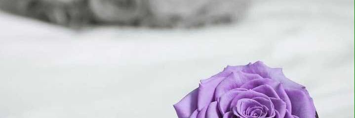 🌌ABOOD❌ banner