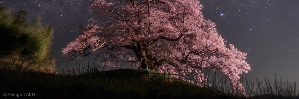 Vauldboy's profile banner image