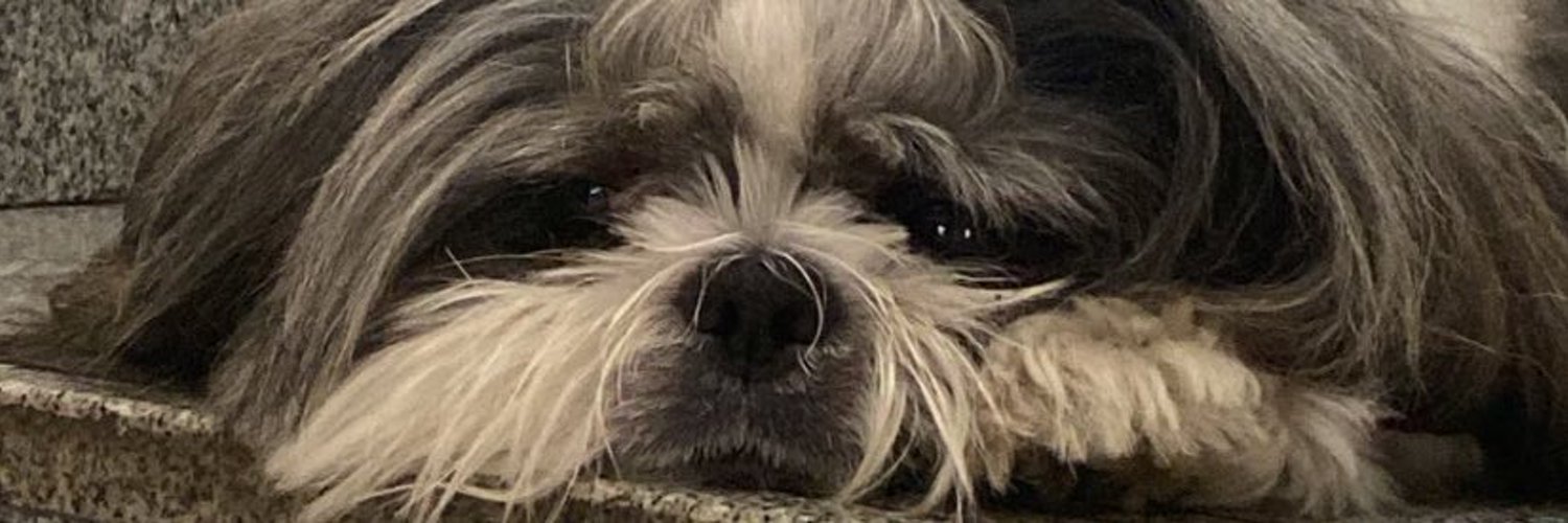 byjoicecastro's profile banner image