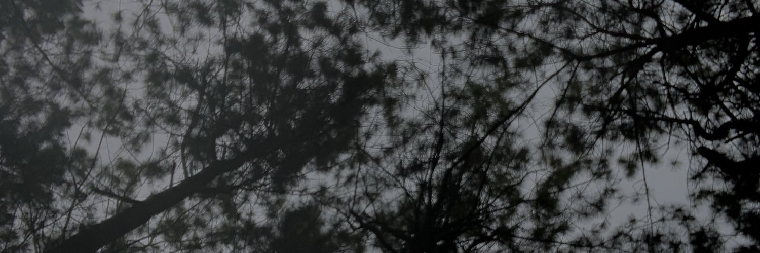 BillyPrdpt's profile banner image