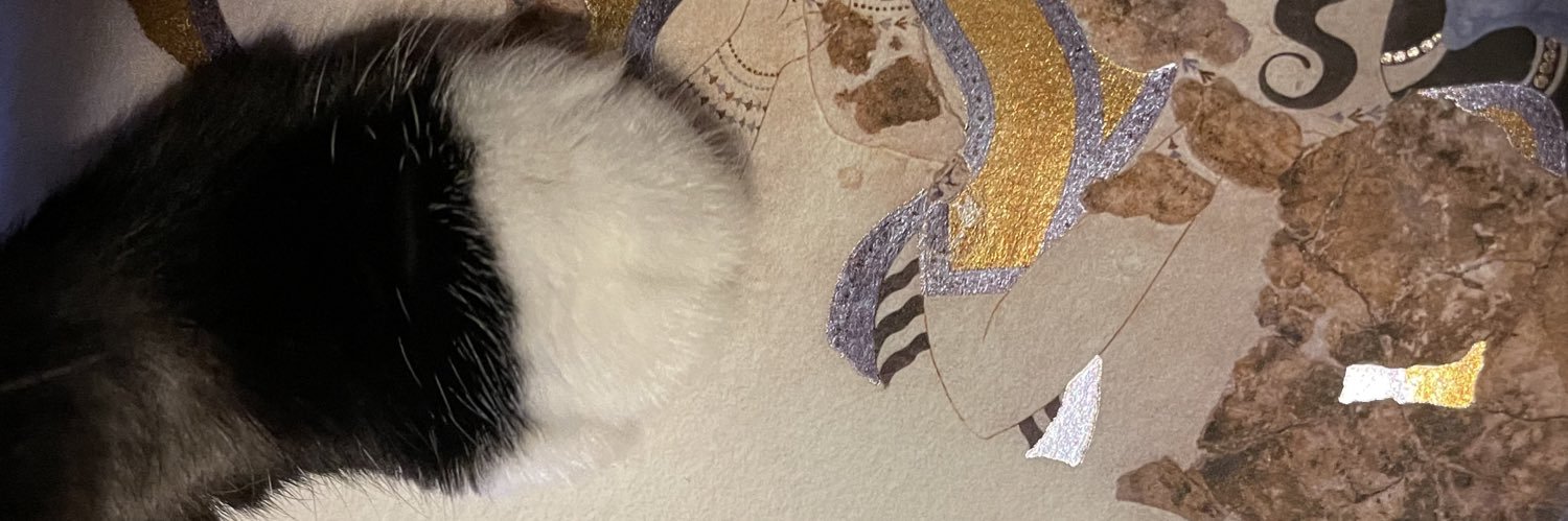 acarot's profile banner image
