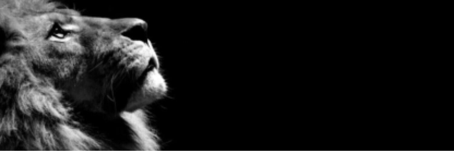 RGirl14's profile banner image