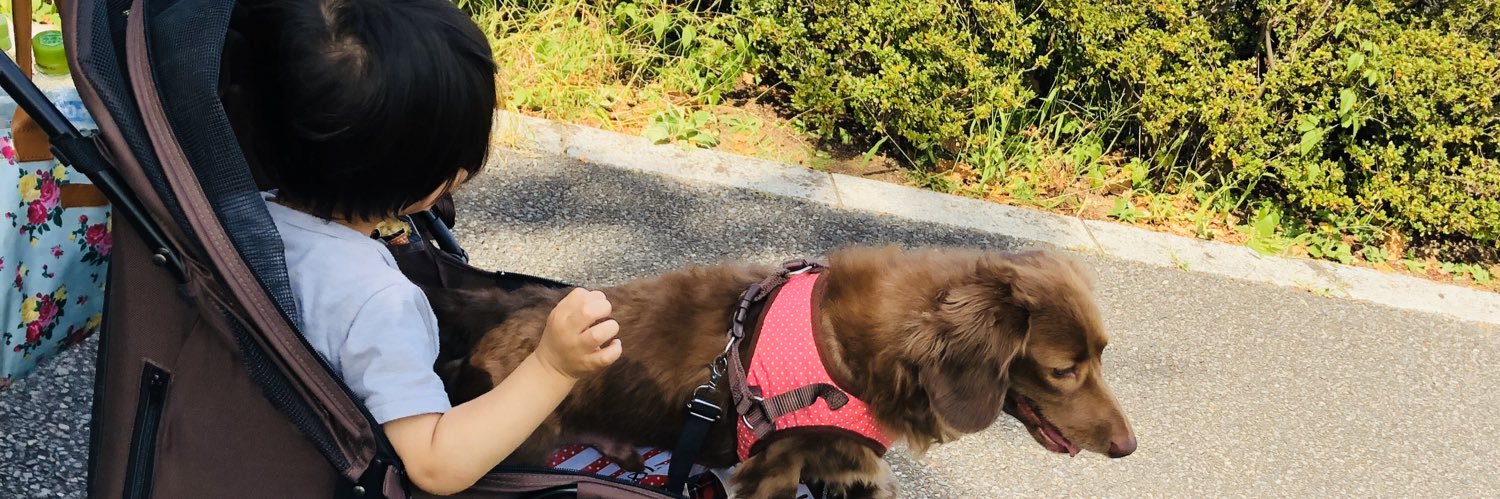 あい🐰8y+4y💜💜💜 banner