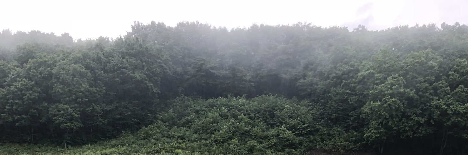 cho_no07's profile banner image