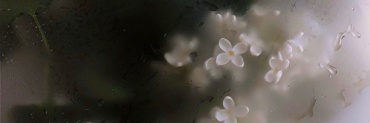 withnewhorizons's profile banner image