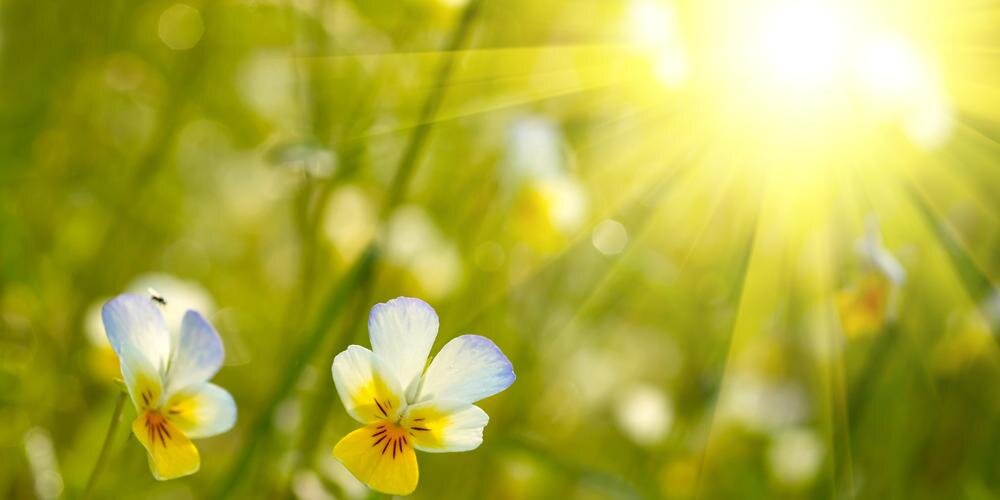 WorkLifeBliss's profile banner image