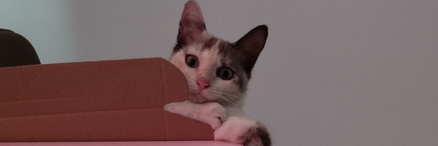 soulituedie's profile banner image