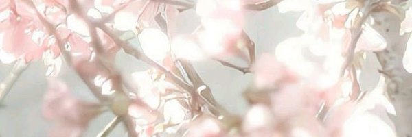 sullikn Profile Banner