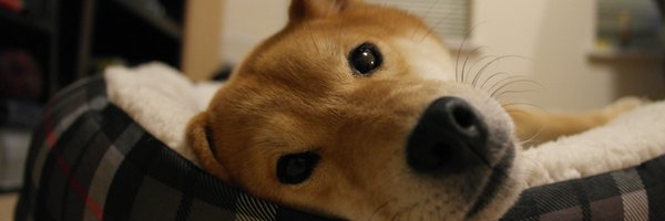 Jmitsu Profile Banner