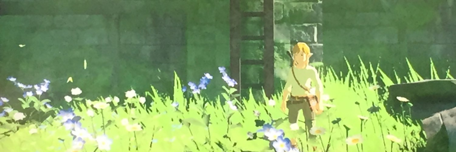 dylan_dimaggio's profile banner image