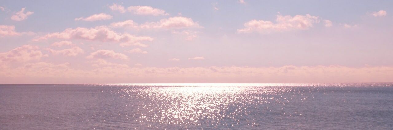 crymelia's profile banner image