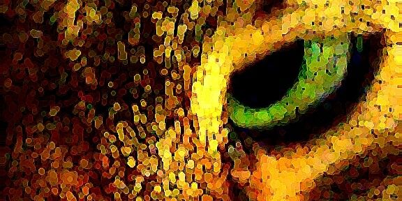 izzophotography's profile banner image