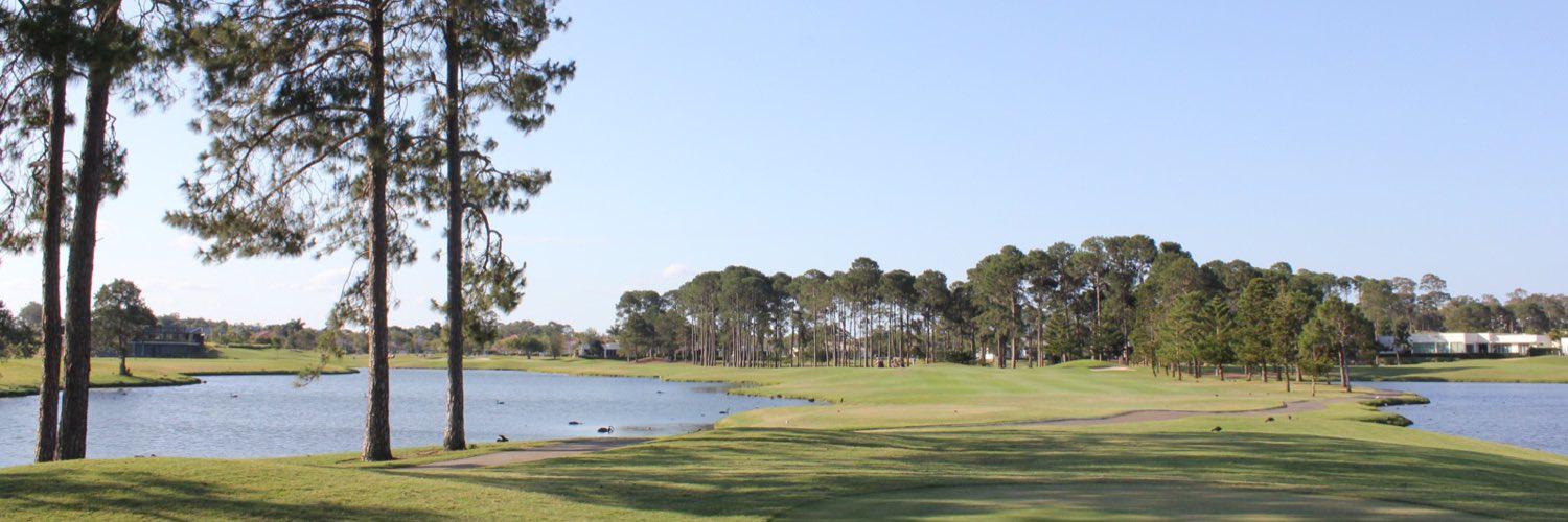 David King banner