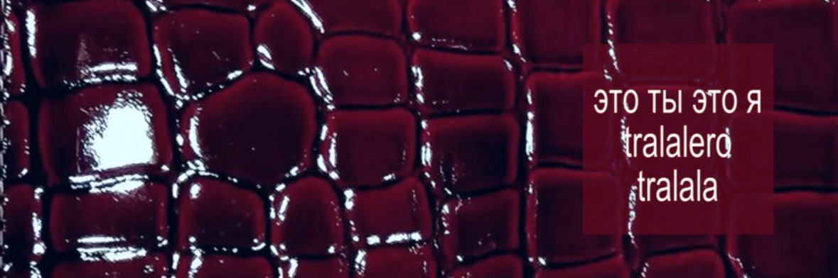 результат тысячелетнего разлития человечества ⚢ banner