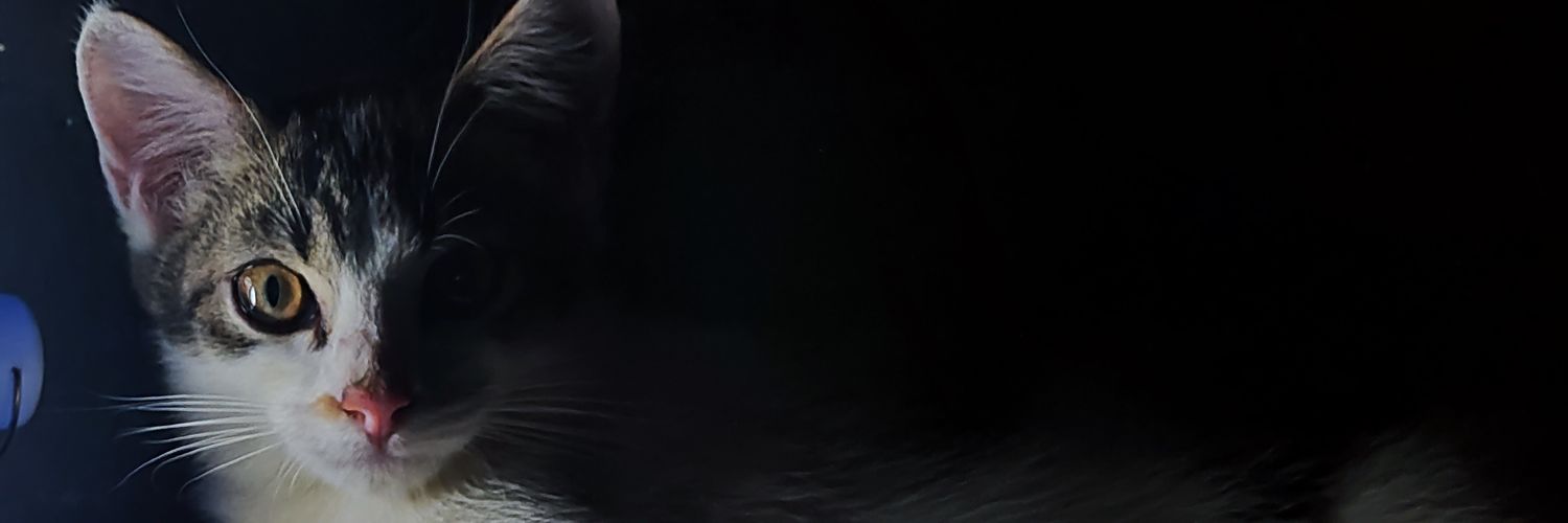 SAYSORI44's profile banner image