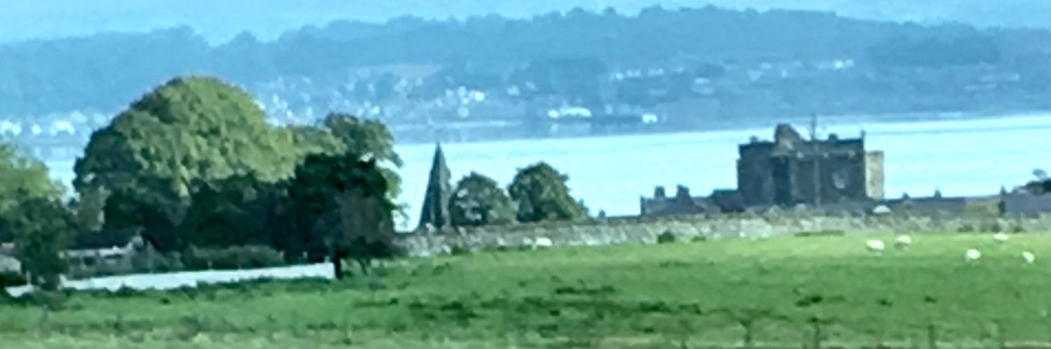 Cat Palmer 🇨🇦 ⁠ banner