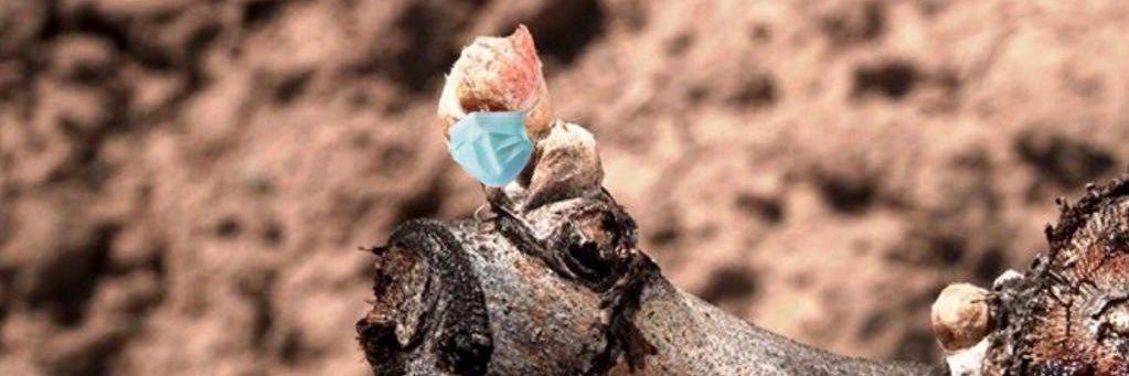 ludelag's profile banner image