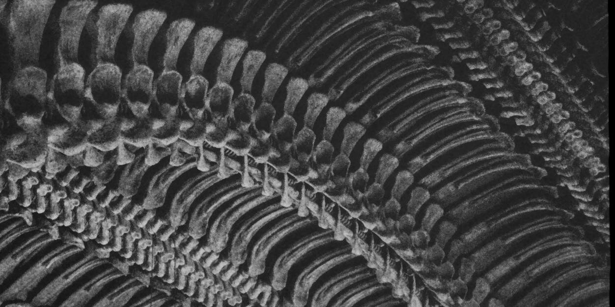 ShreddingRobot's profile banner image