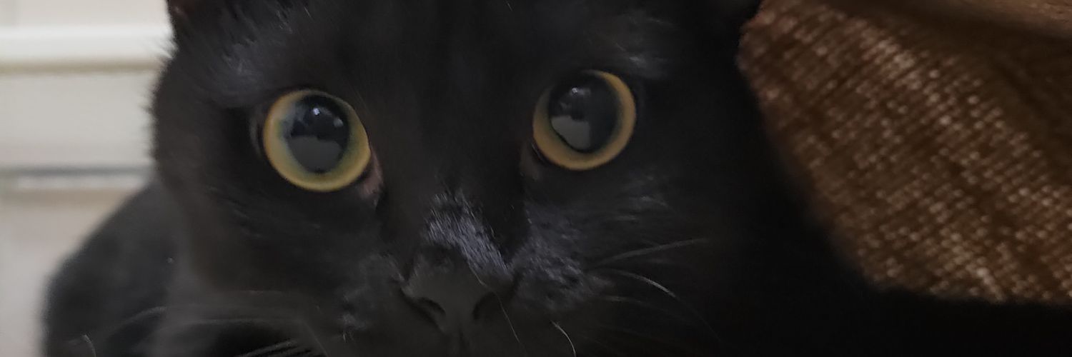bai_Yu_520's profile banner image