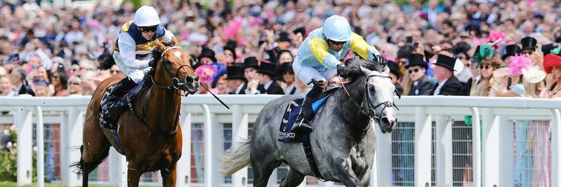 Silvestre de Sousa banner