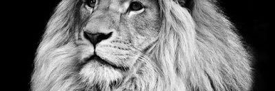 ciftciismet's profile banner image