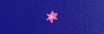 Envelope || Yapping mcYappers banner