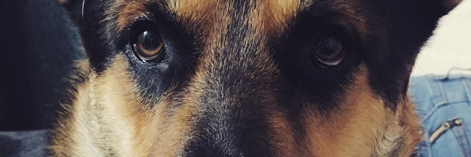 f3era's profile banner image