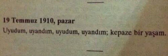 ozcecey's profile banner image
