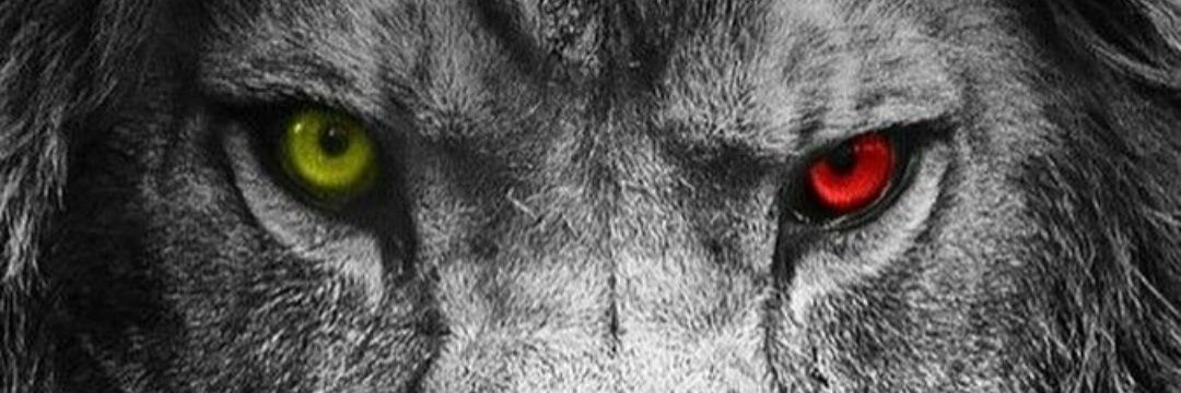 MelihKocman's profile banner image