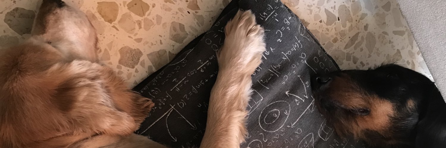 gunowski's profile banner image