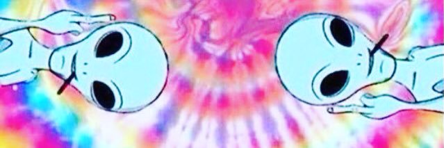 Kay🌹 banner