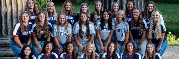 LnsSoftball Profile Banner