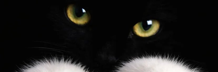osgafranla's profile banner image