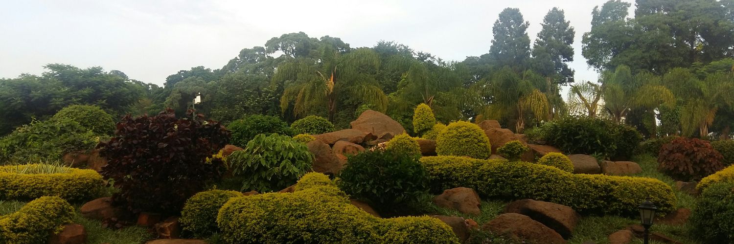 Dr Manoj Kr Shukul banner