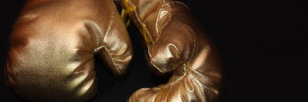 Check_Hook1 Profile Banner