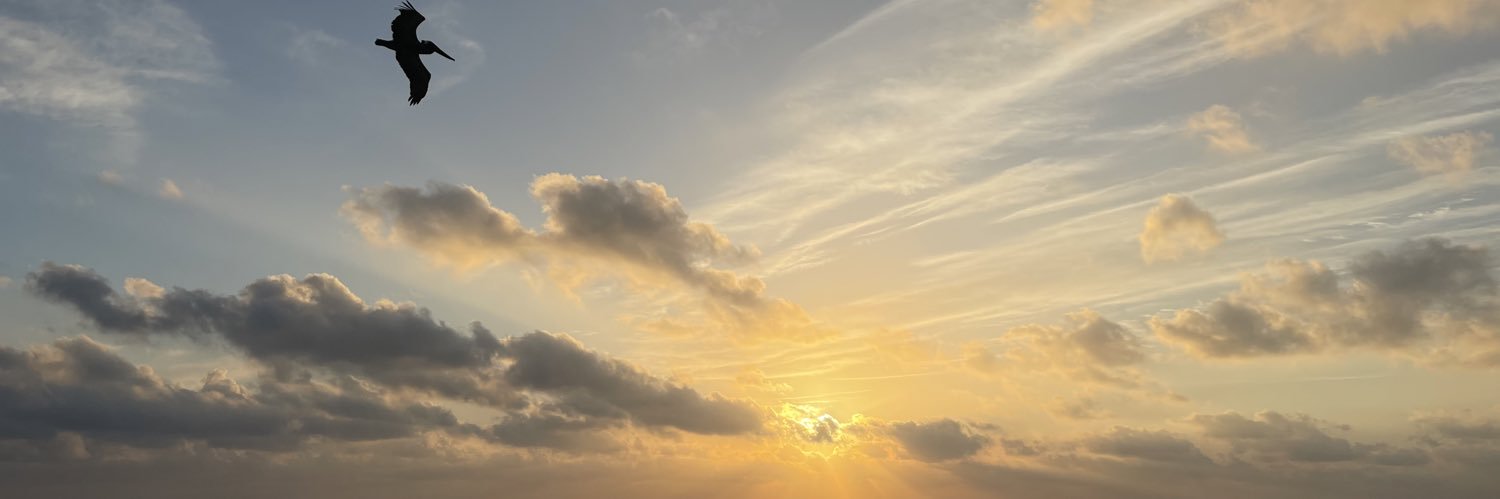 Lucio Hernández Gutiérrez banner