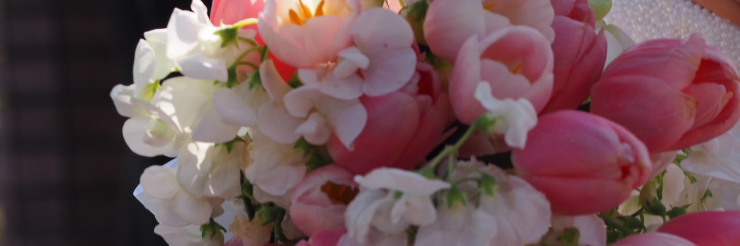 miii_eoe's profile banner image