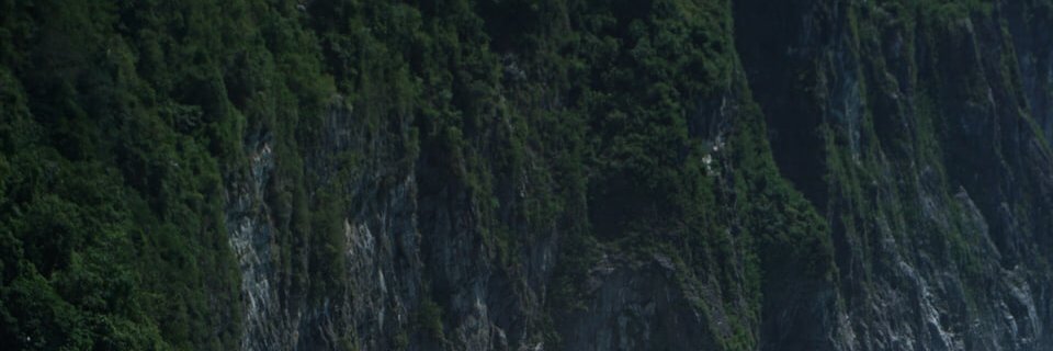 ditatodind's profile banner image