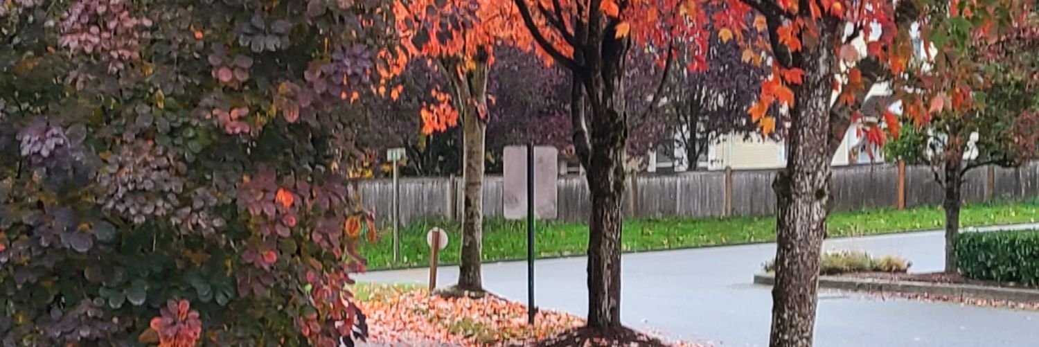 growinggrigs's profile banner image
