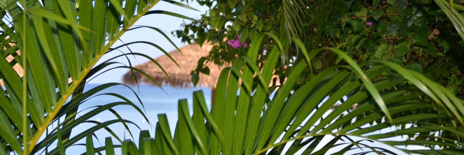 KizzyEvae's profile banner image