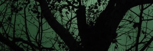 PatrickJL79's profile banner image