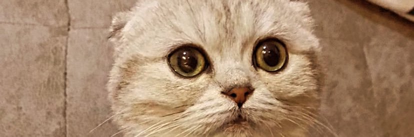 balarusu's profile banner image