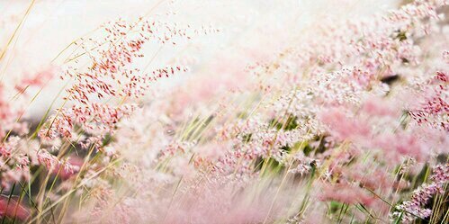 DreamGlass_'s profile banner image