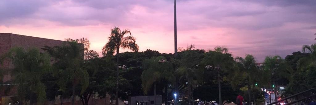 Valentina Ortiz López banner