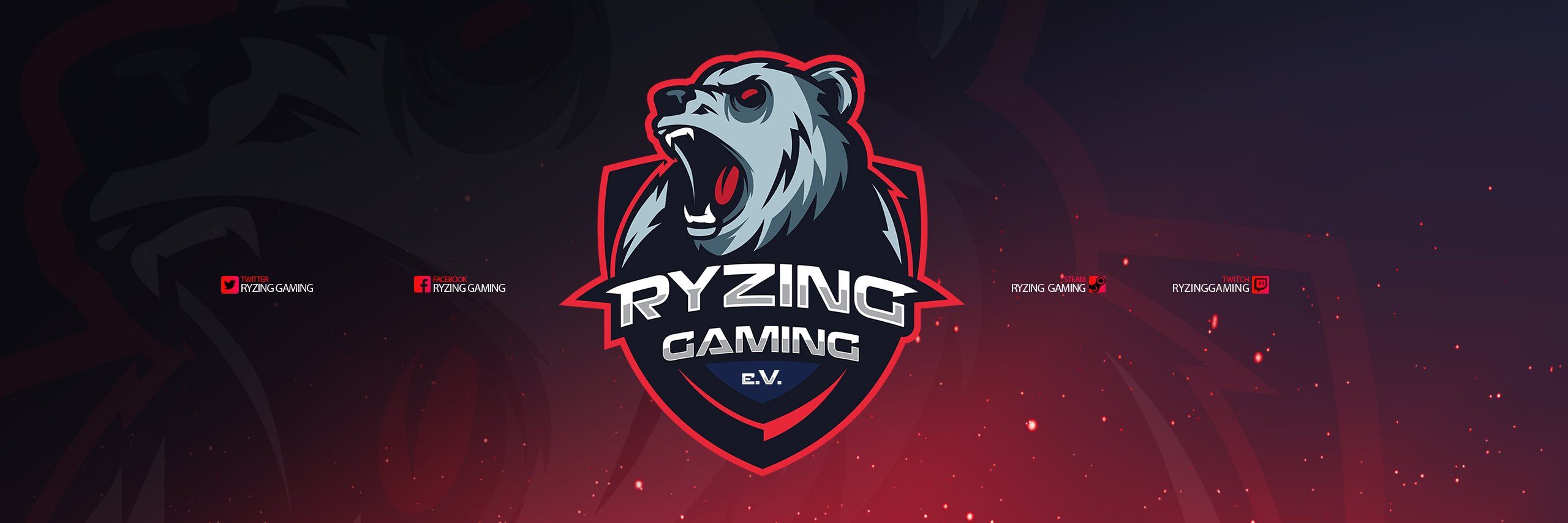 Ryzing Gaming e.V. banner