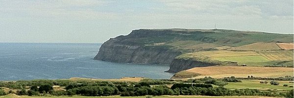 Michael Hay Profile Banner