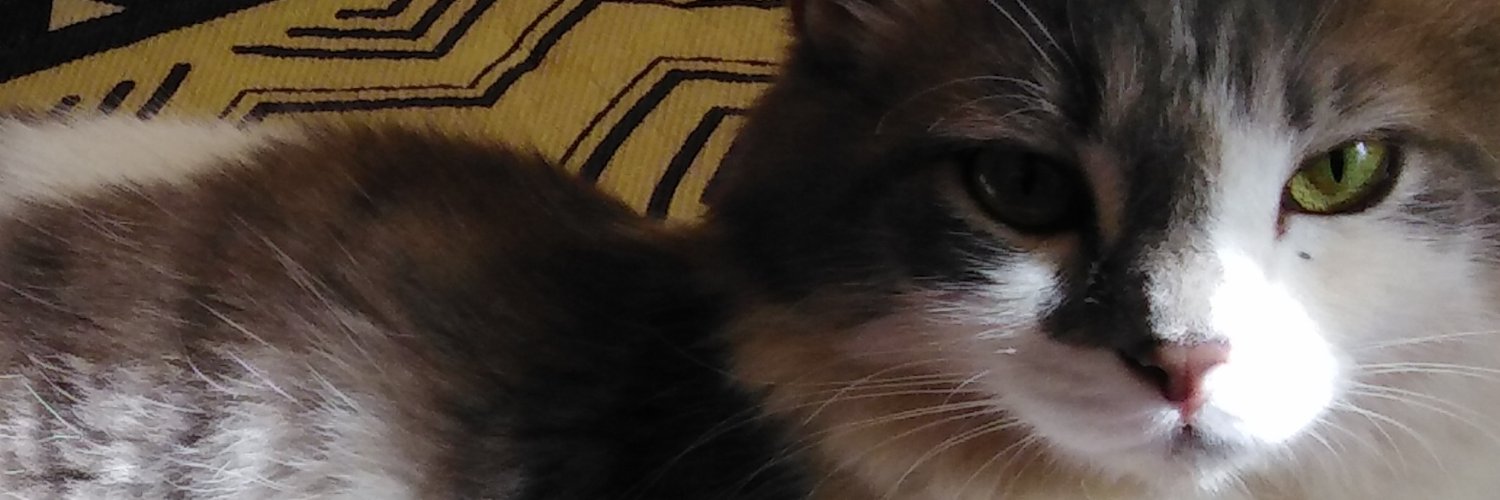 anitakags's profile banner image